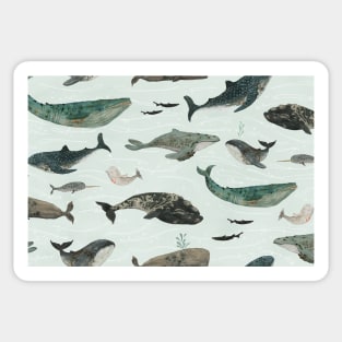 Tattooed whales pattern Sticker